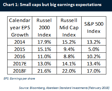 Chart 1: Small caps but big earnings expectations
